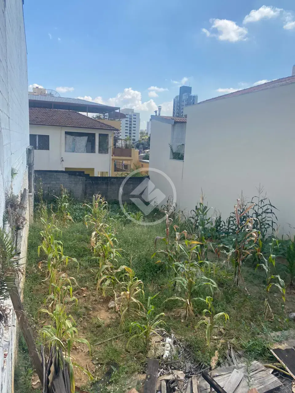 Imagem 4 - Terreno em SUMARE, São Paulo - SP