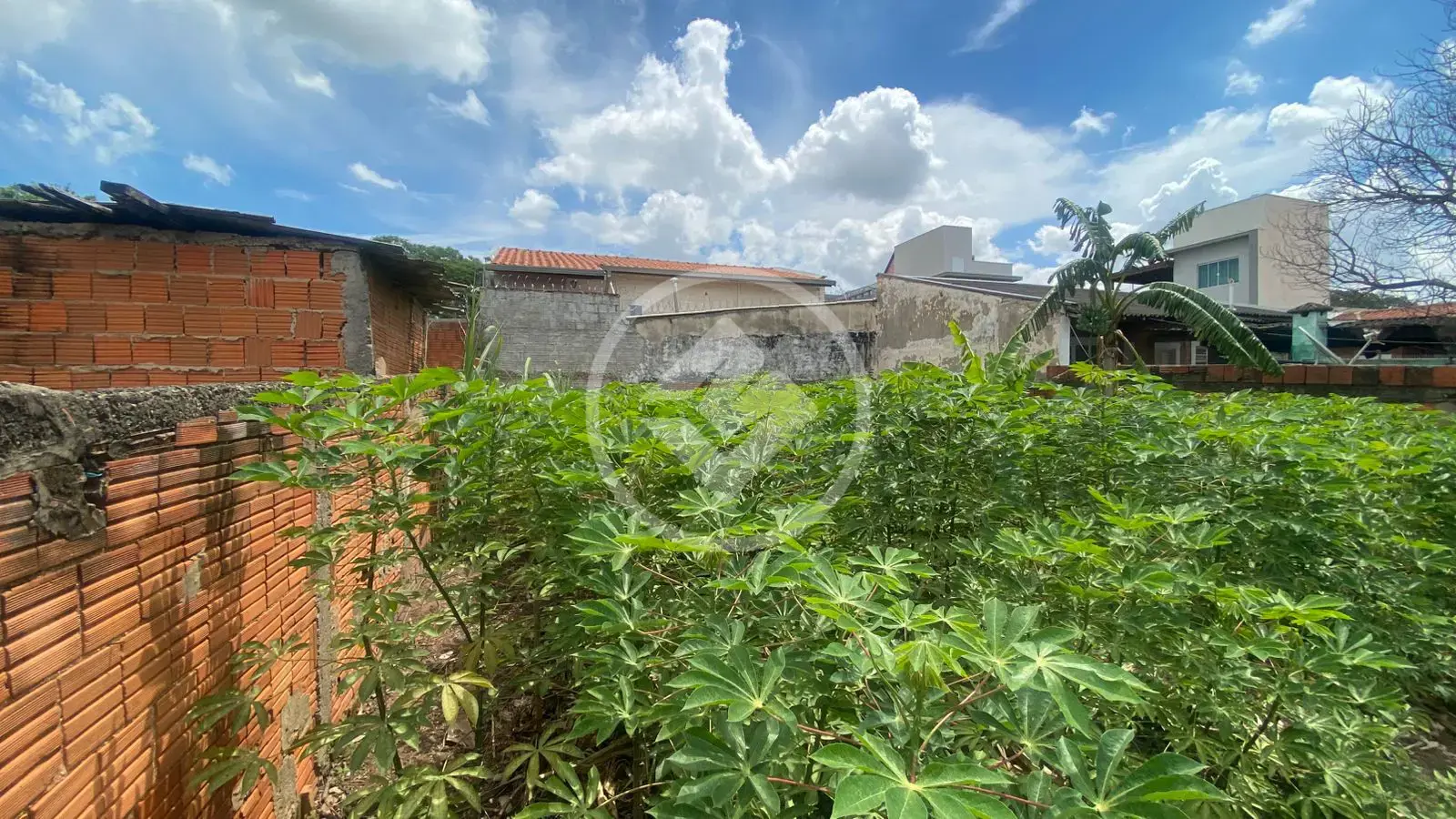 Imagem 6 - Casa em Jardim Nova Europa, Campinas - SP