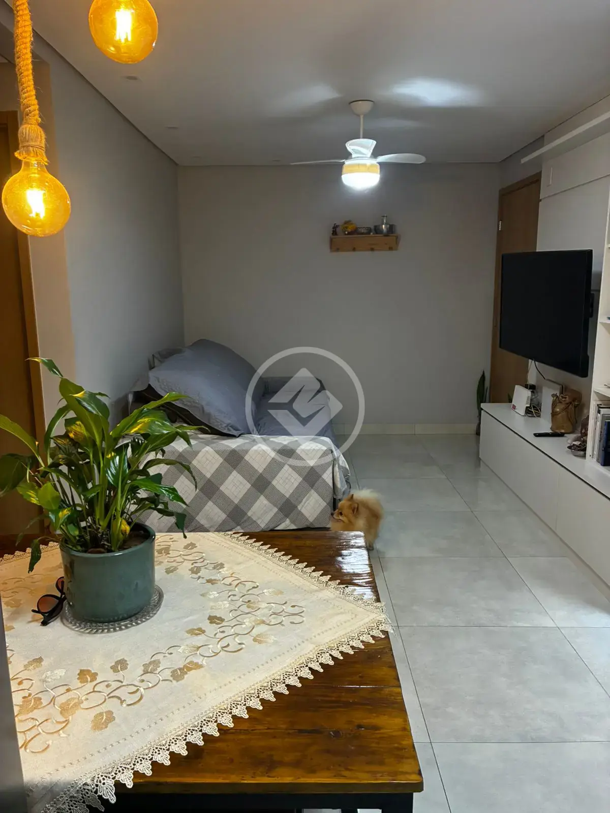 Imagem 3 - Apartamento em Jardim Capivari, Campinas - SP