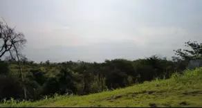 Imagem 4 - Terreno Condomínio em Vila Pagano, Valinhos - SP