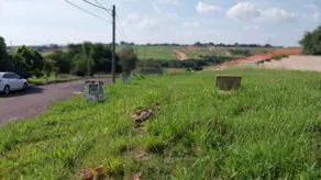 Terreno Condomínio Jardim Myrian Moreira da Costa, Campinas - SP — foto 2