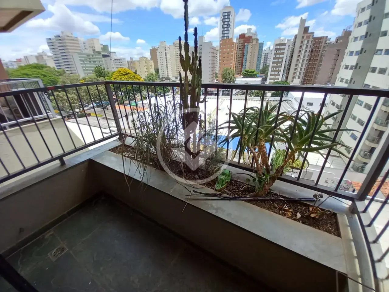 Imagem 2 - Apartamento em Cambuí, Campinas - SP
