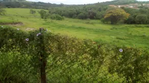 Terreno Chácaras Veneza, Piracicaba - SP — foto 2