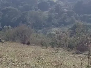 Imagem 2 - Terreno em Nadir Figueiredo, Pedreira - SP