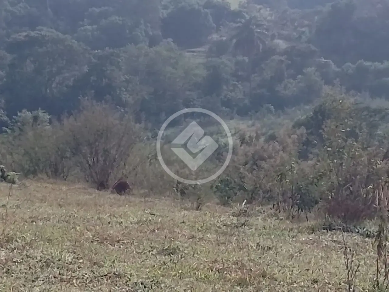 Imagem 2 - Terreno em Nadir Figueiredo, Pedreira - SP
