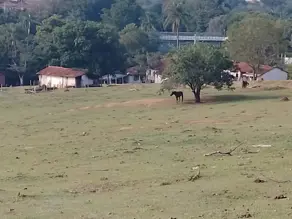 Imagem 3 - Terreno em Nadir Figueiredo, Pedreira - SP