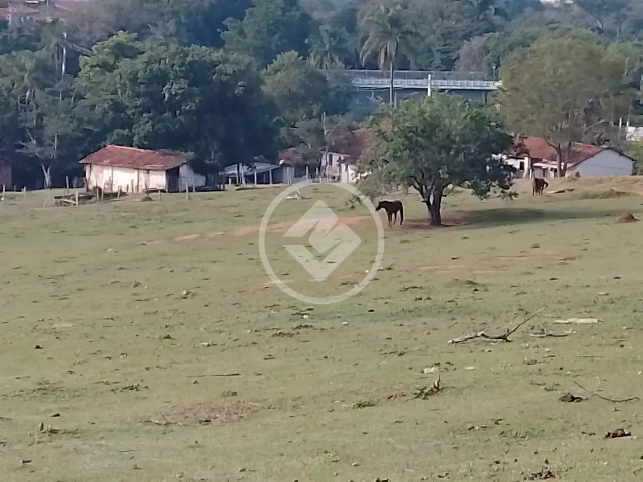 Imagem 3 - Terreno em Nadir Figueiredo, Pedreira - SP