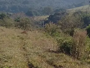 Imagem 5 - Terreno em Nadir Figueiredo, Pedreira - SP