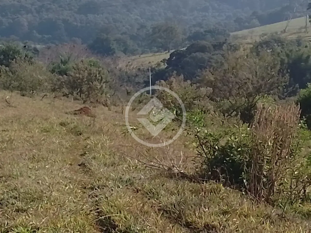 Imagem 5 - Terreno em Nadir Figueiredo, Pedreira - SP