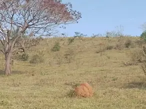 Imagem 6 - Terreno em Nadir Figueiredo, Pedreira - SP