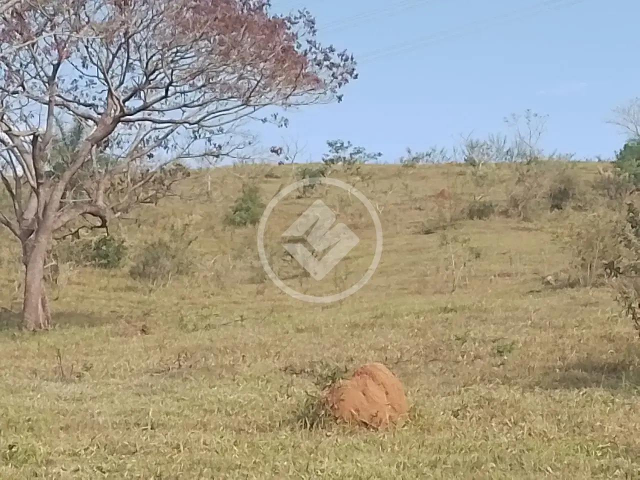 Imagem 6 - Terreno em Nadir Figueiredo, Pedreira - SP