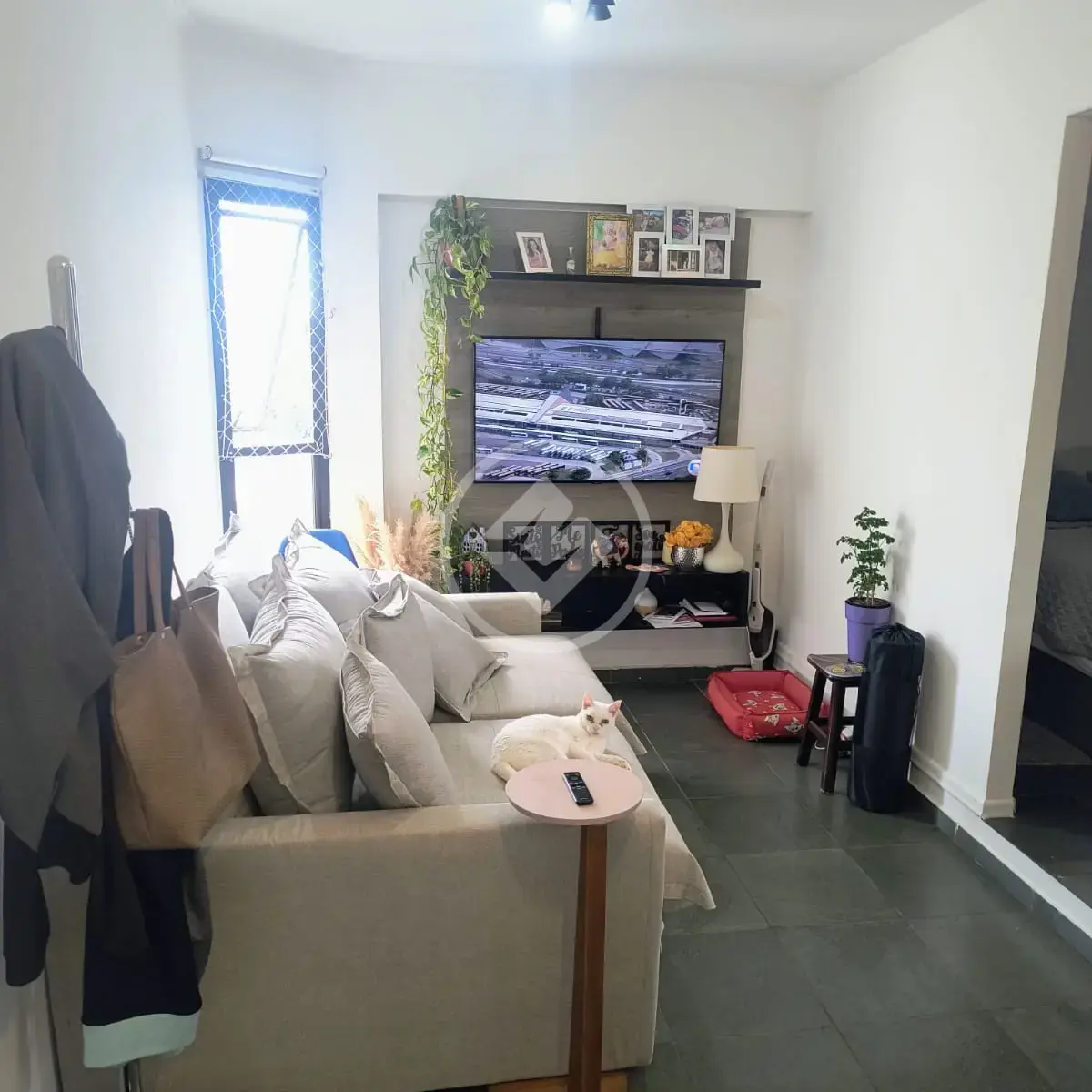 Imagem 1 - Apartamento em Cambuí, Campinas - SP