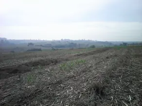 Imagem 2 - Terreno em Área Rural de Sumaré, Sumaré - SP