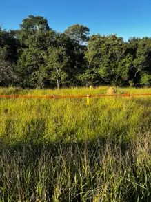 Imagem 2 - Terreno em Santa Cecilia II, São José dos Campos - SP
