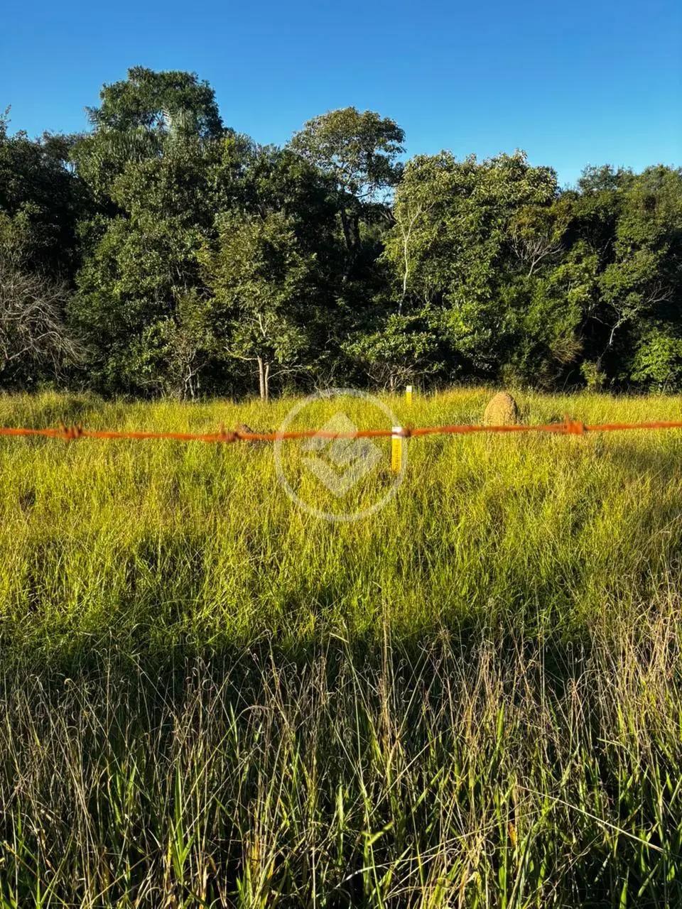 Imagem 2 - Terreno em Santa Cecilia II, São José dos Campos - SP