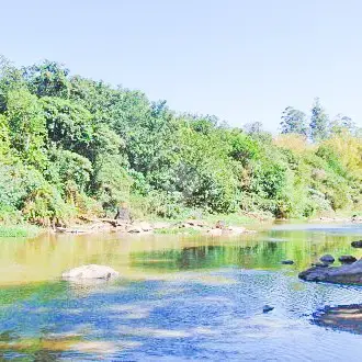 Imagem 1 - Chácara em Bananal, Campinas - SP