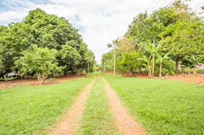 Imagem 3 - Chácara em Bananal, Campinas - SP