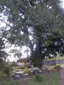 Imagem 6 - Sítio em Paraíso do Oriçanga, Estiva Gerbi - SP