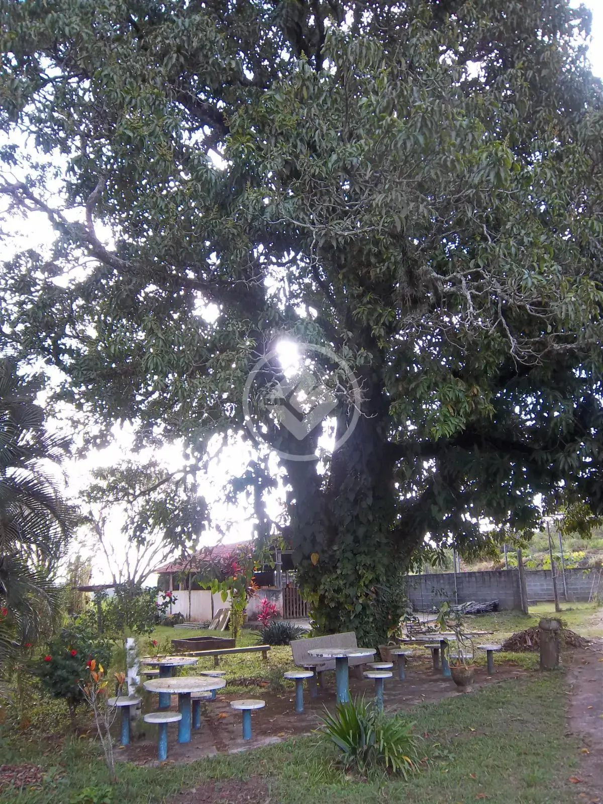 Imagem 6 - Sítio em Paraíso do Oriçanga, Estiva Gerbi - SP