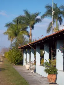 Imagem 5 - Sítio em Paraíso do Oriçanga, Estiva Gerbi - SP