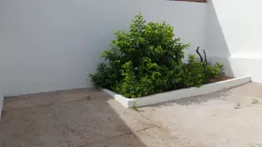 Imagem 4 - Casa em Parque Residencial Vila União, Campinas - SP