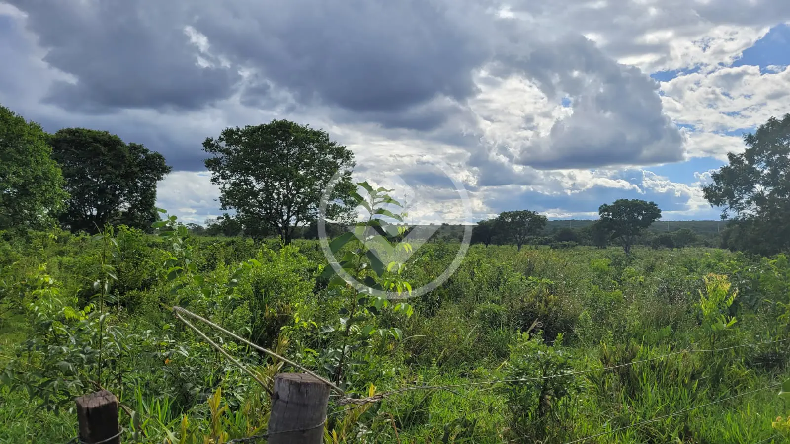 Imagem 1 - Chácara em CIDADE JARDIM, Campo Grande - MS