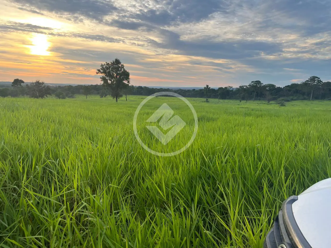 Imagem 1 - Fazenda em Centro, Alcinópolis - MS