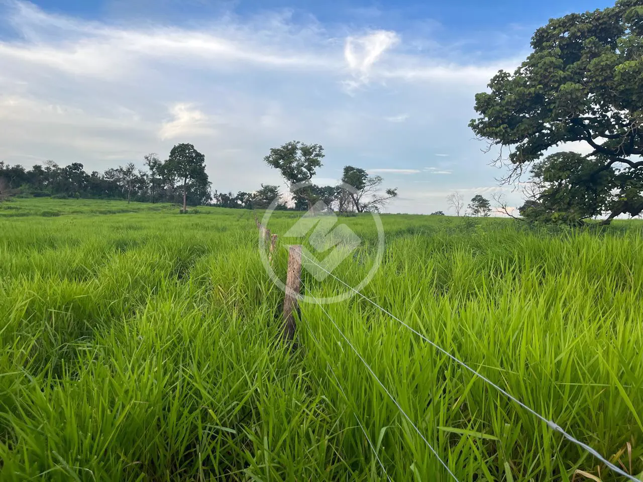 Imagem 3 - Fazenda em Centro, Alcinópolis - MS