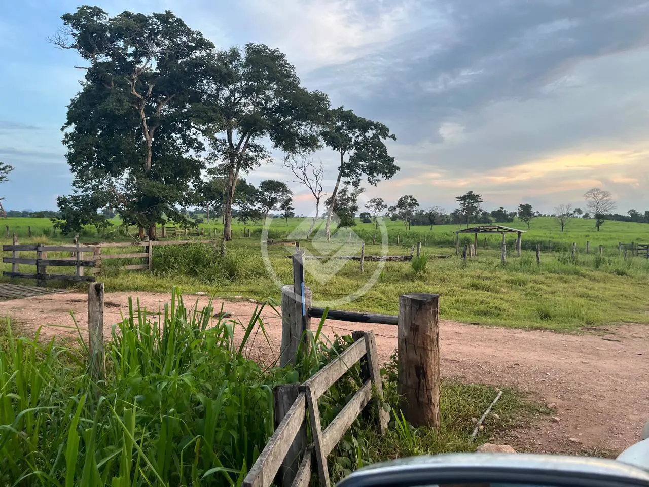 Imagem 1 - Fazenda em Centro, Alcinópolis - MS