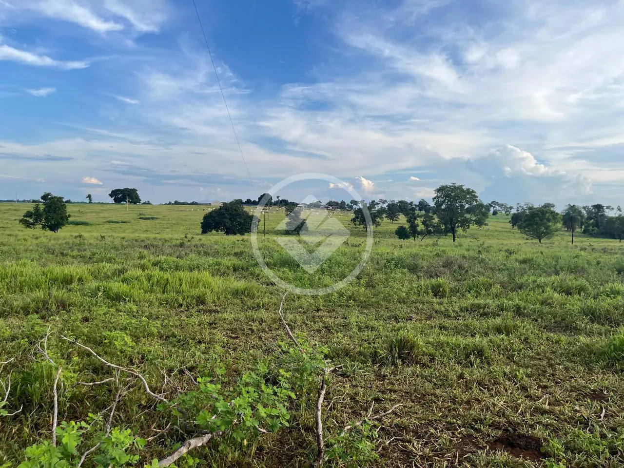 Imagem 2 - Fazenda em Centro, Alcinópolis - MS