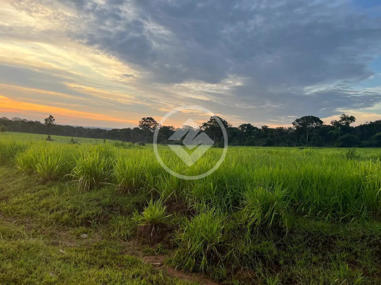 Imagem 5 - Fazenda em Centro, Alcinópolis - MS