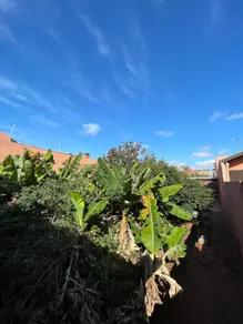 Imagem 5 - Terreno em CORONEL ANTONINO, Campo Grande - MS