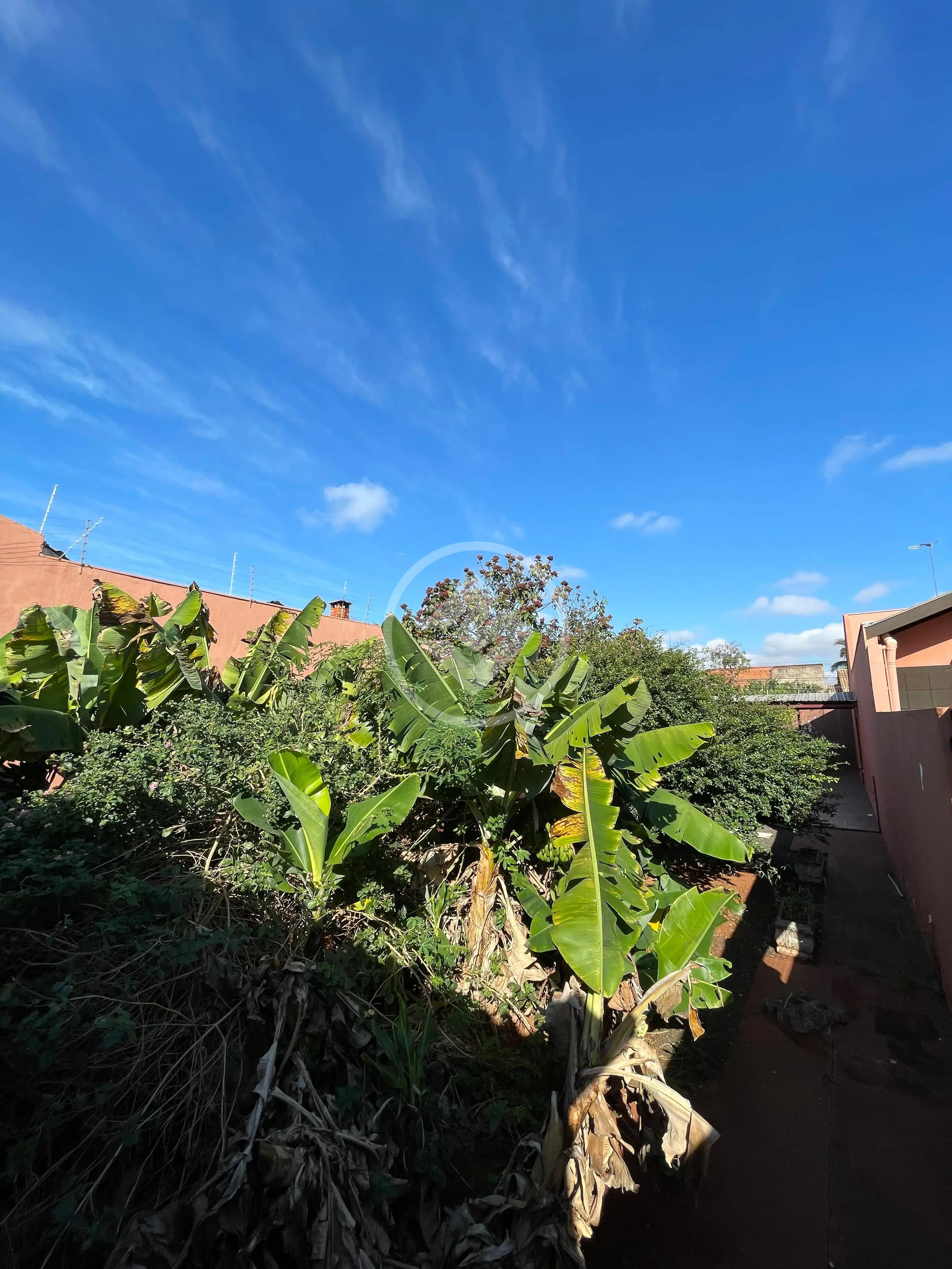 Imagem 5 - Terreno em CORONEL ANTONINO, Campo Grande - MS