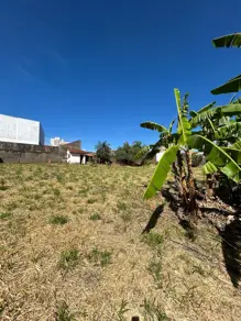 Imagem 2 - Terreno em Monte Castelo, Campo Grande - MS