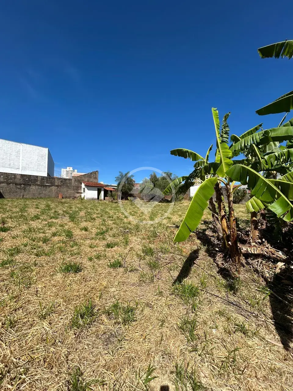 Imagem 2 - Terreno em Monte Castelo, Campo Grande - MS