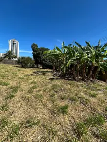 Imagem 3 - Terreno em Monte Castelo, Campo Grande - MS
