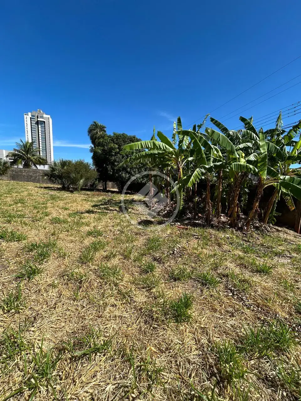 Imagem 3 - Terreno em Monte Castelo, Campo Grande - MS