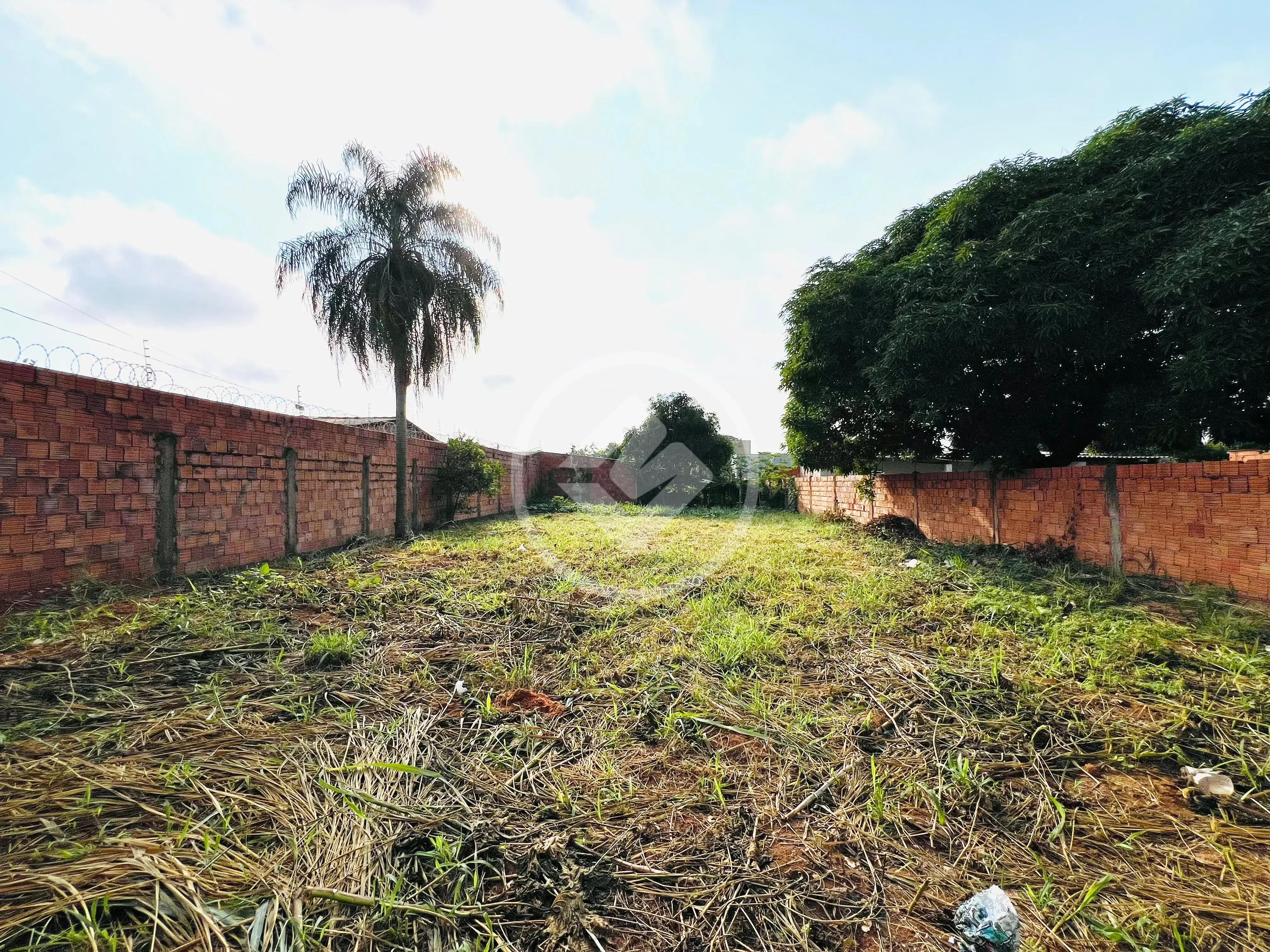 Imagem 1 - Terreno em Jardim São Conrado, Campo Grande - MS