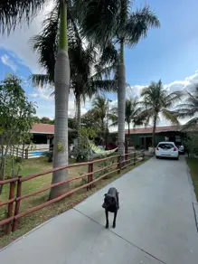 Imagem 2 - Casa em Jardim Batistao, Campo Grande - MS