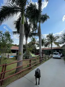 Imagem 3 - Casa em Jardim Batistao, Campo Grande - MS