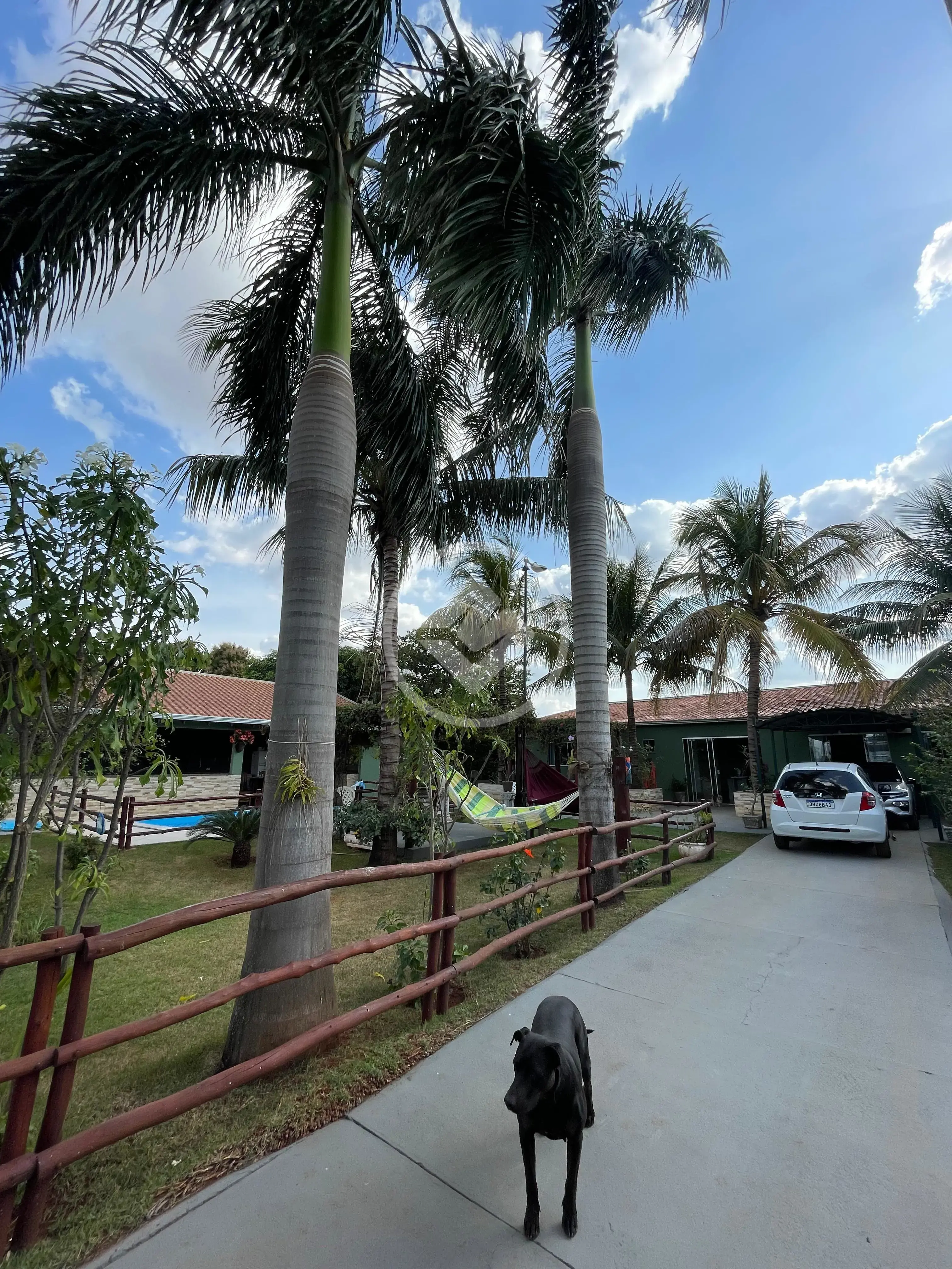 Imagem 3 - Casa em Jardim Batistao, Campo Grande - MS