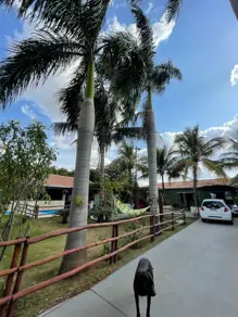 Imagem 4 - Casa em Jardim Batistao, Campo Grande - MS