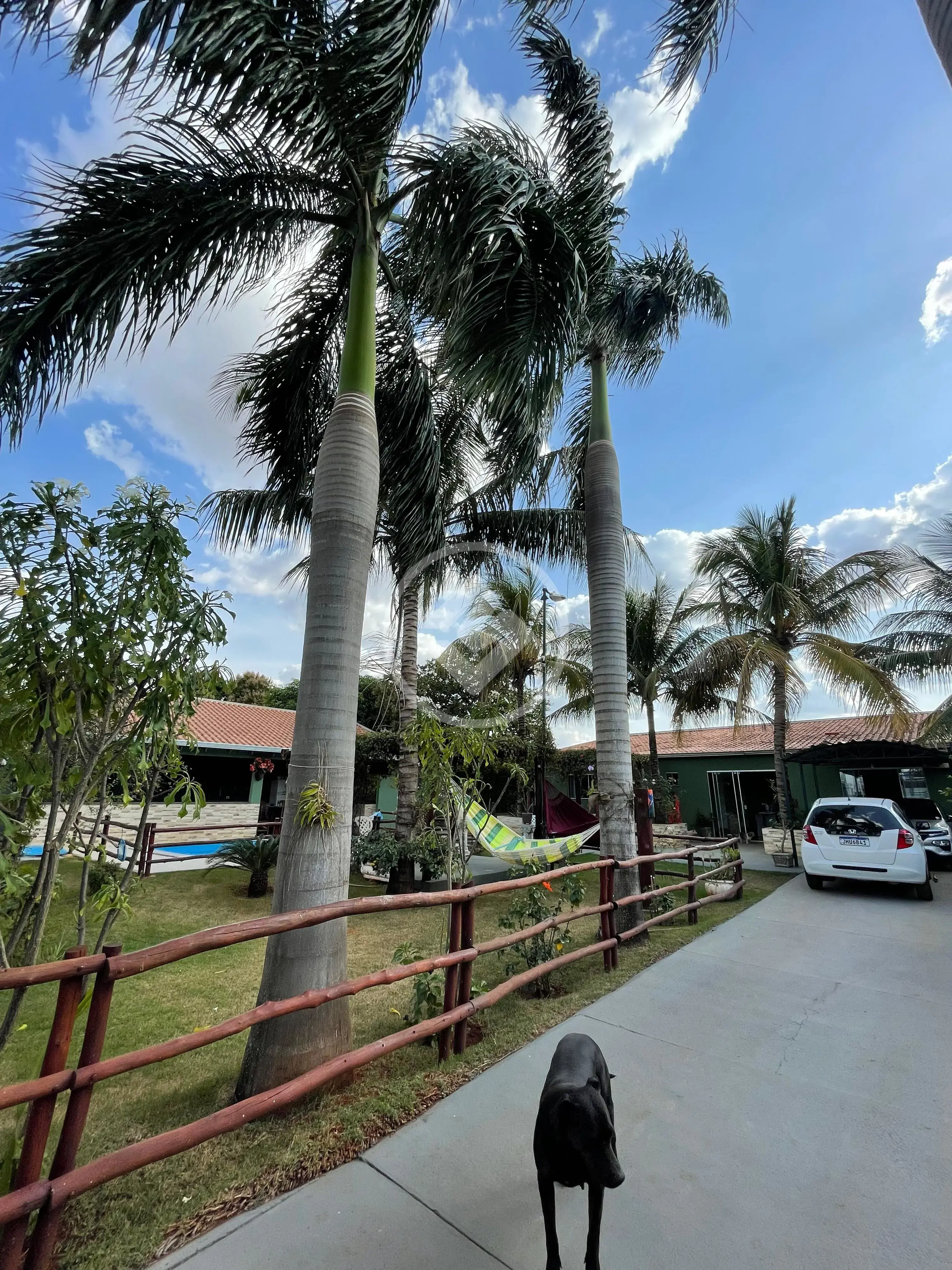 Imagem 4 - Casa em Jardim Batistao, Campo Grande - MS