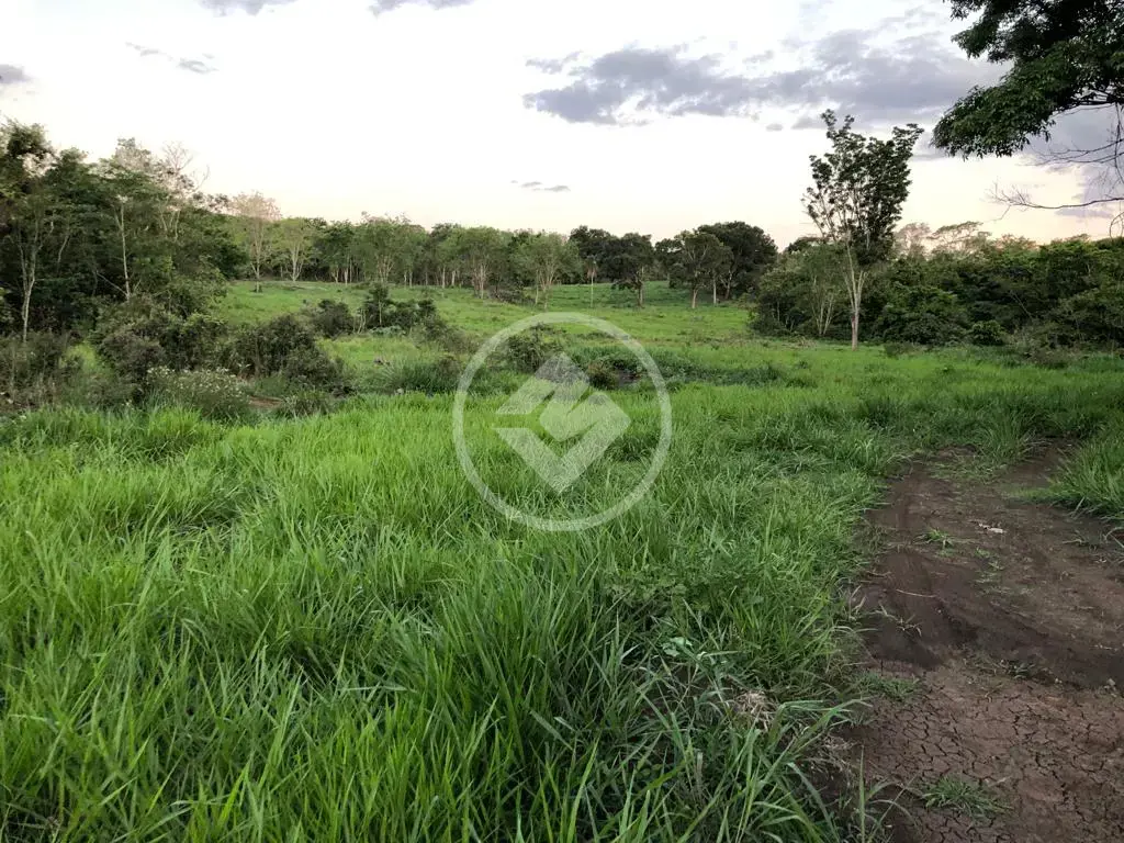 Image 28 - Fazenda em CENTRO, Terenos - MS