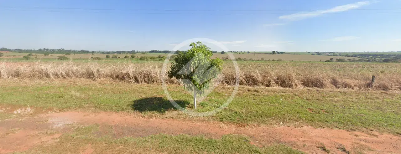 Image 8 - Fazenda em Área Rural de Araçatuba, Araçatuba - SP