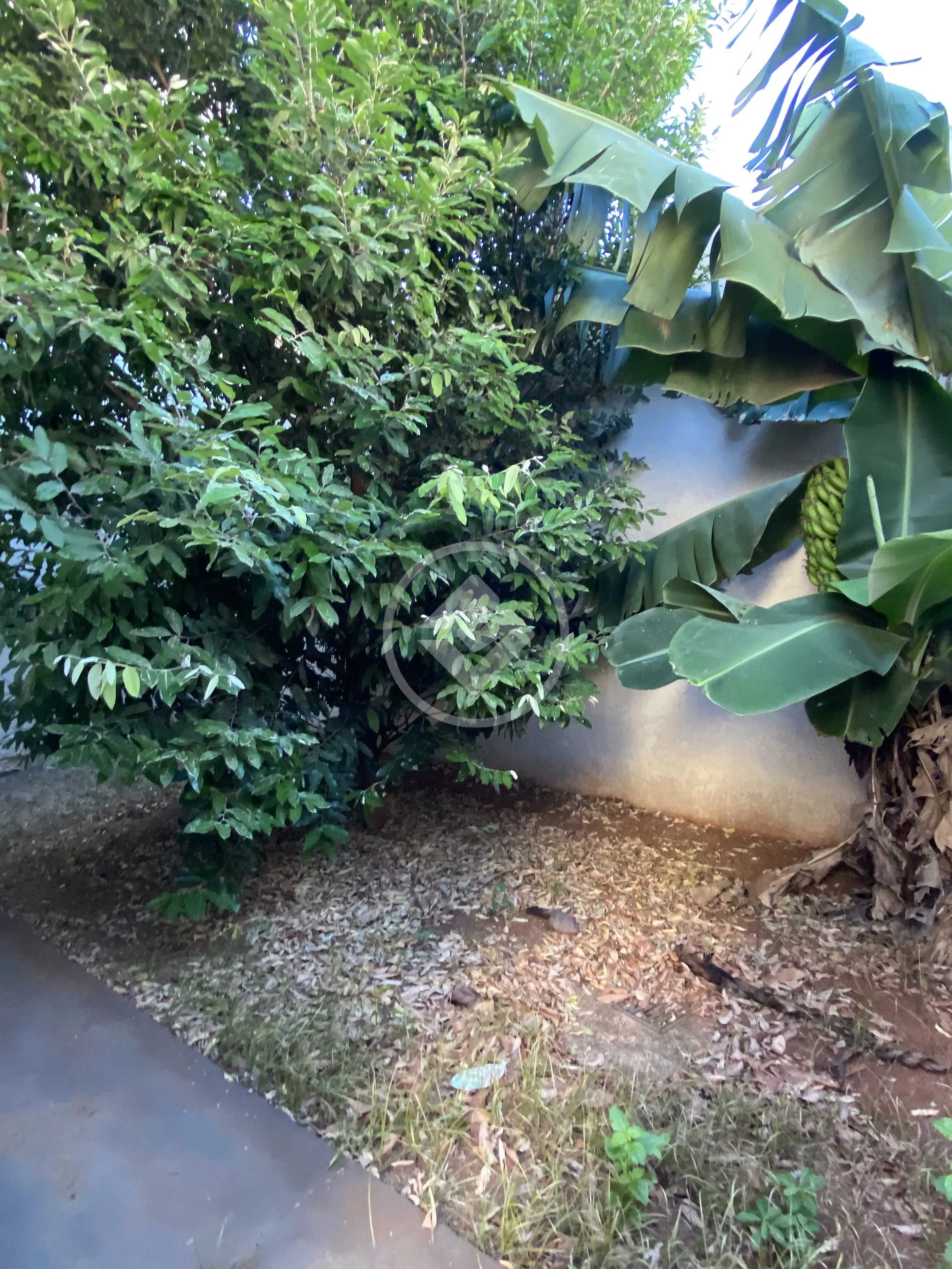Image 10 - Casa em Tijuca, Campo Grande - MS
