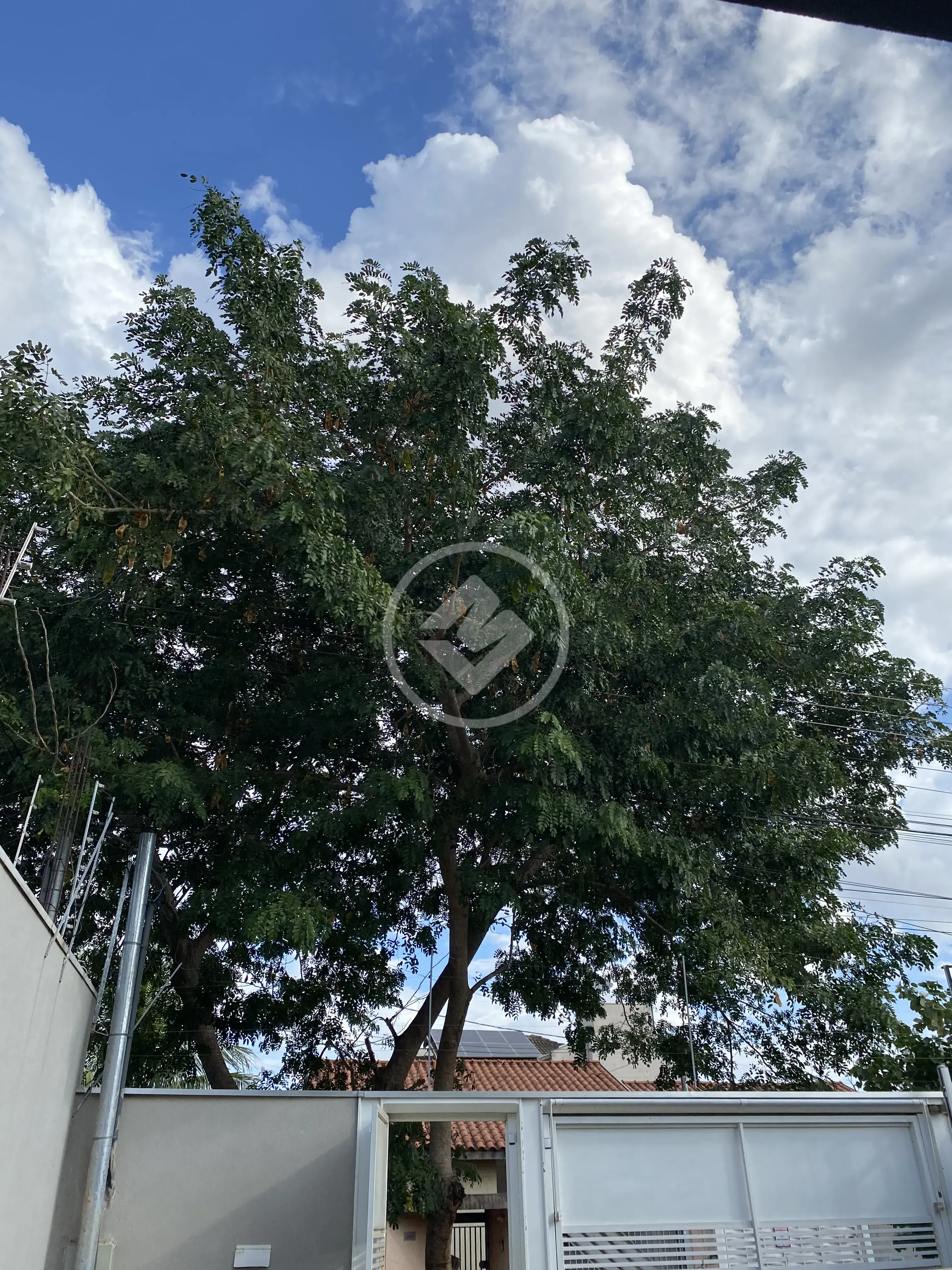 Image 18 - Casa em Monte Castelo, Campo Grande - MS
