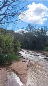 Imagem 4 - Chácara em Parque dos Novos Estados, Campo Grande - MS
