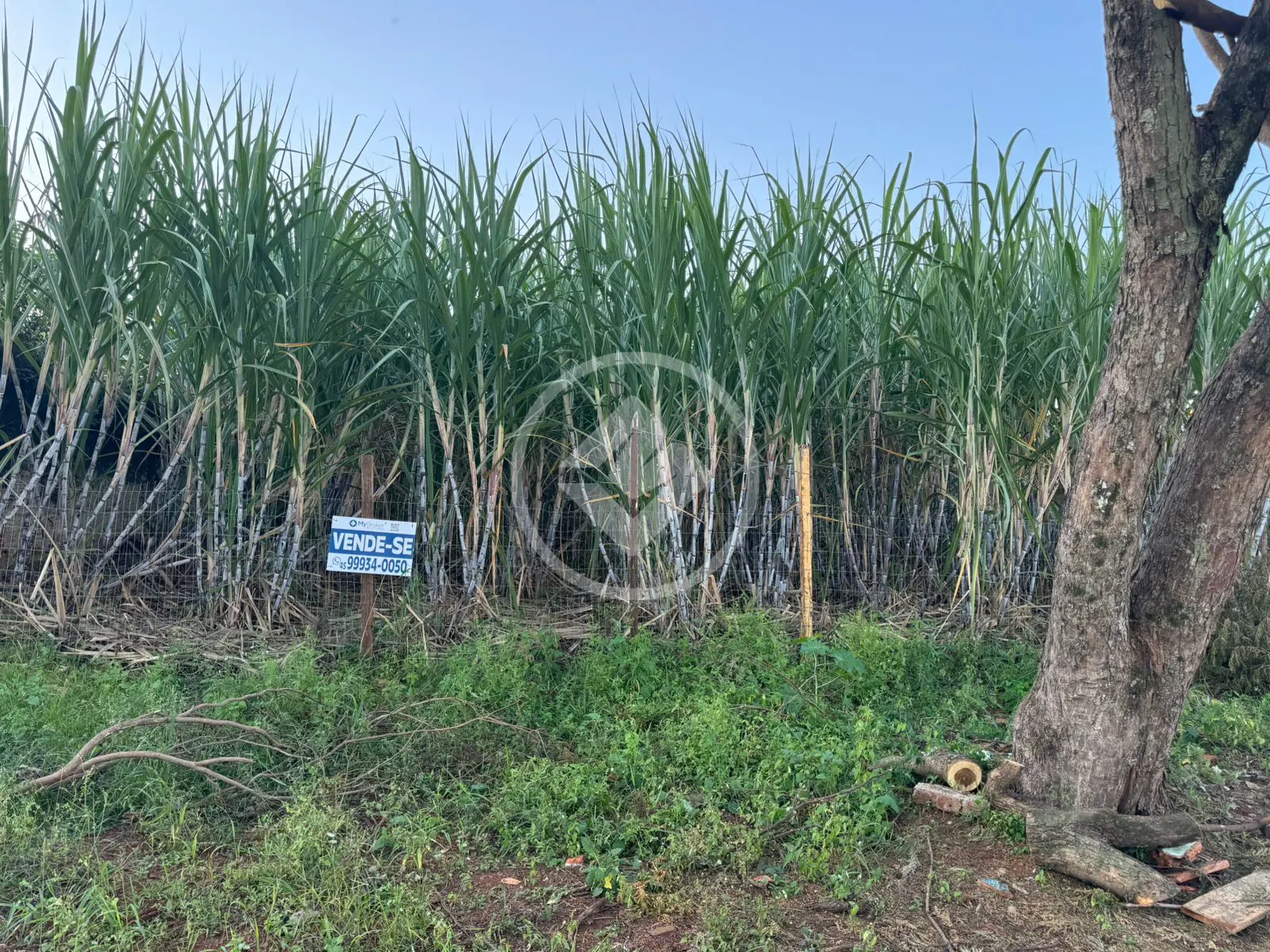 Imagem 2 - Terreno em Universitário, Cascavel - PR