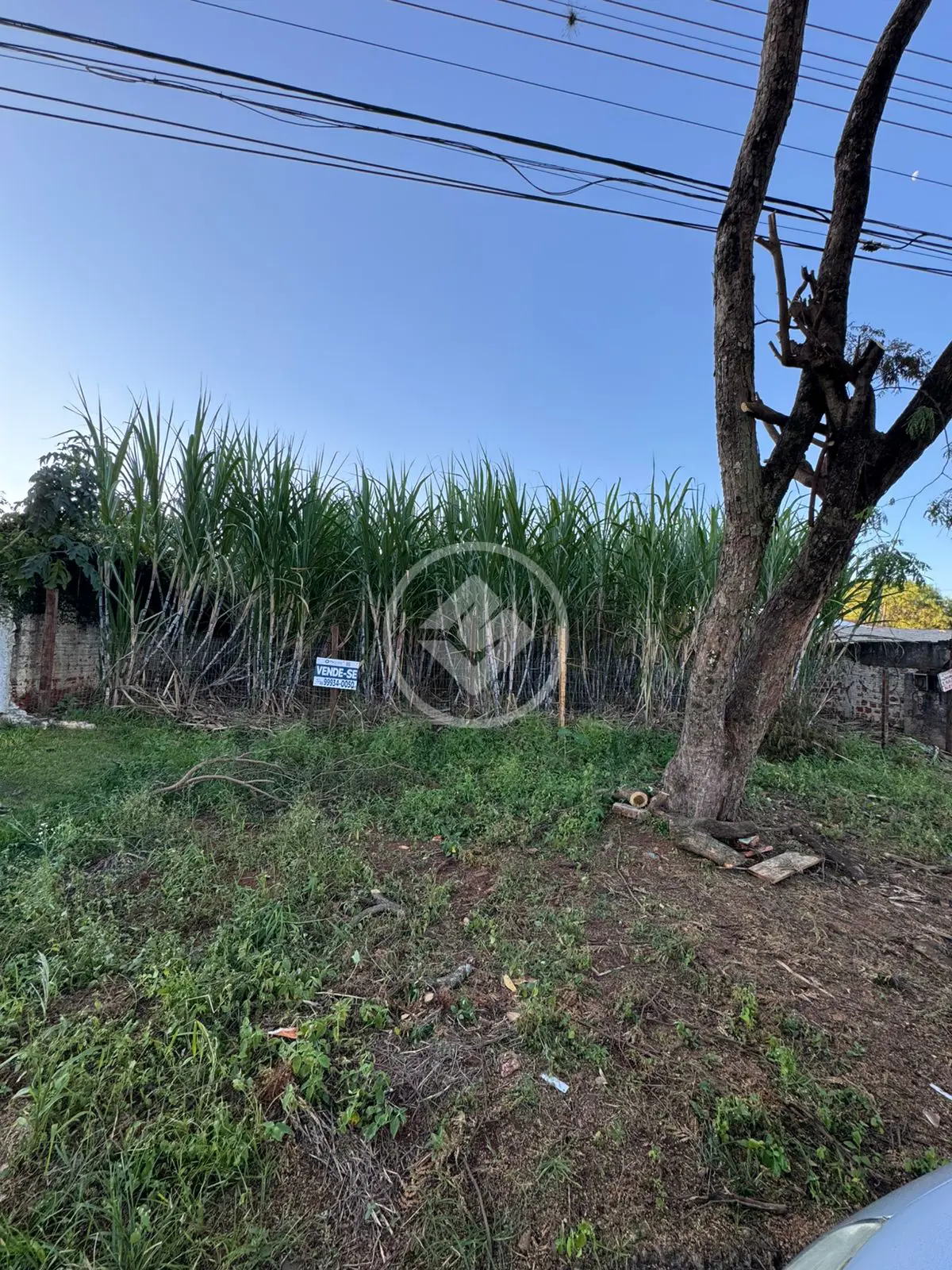 Imagem 3 - Terreno em Universitário, Cascavel - PR